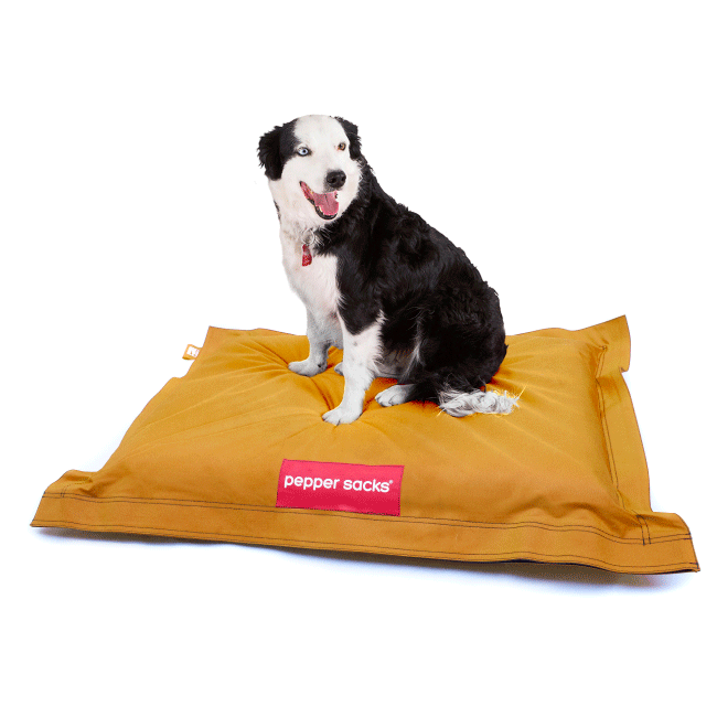 cama elevada para perro cama elevada para perro